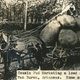 Image for article titled Freakish, Century-Old "Tall Tale Postcards" Were the 'Shops of Their Day